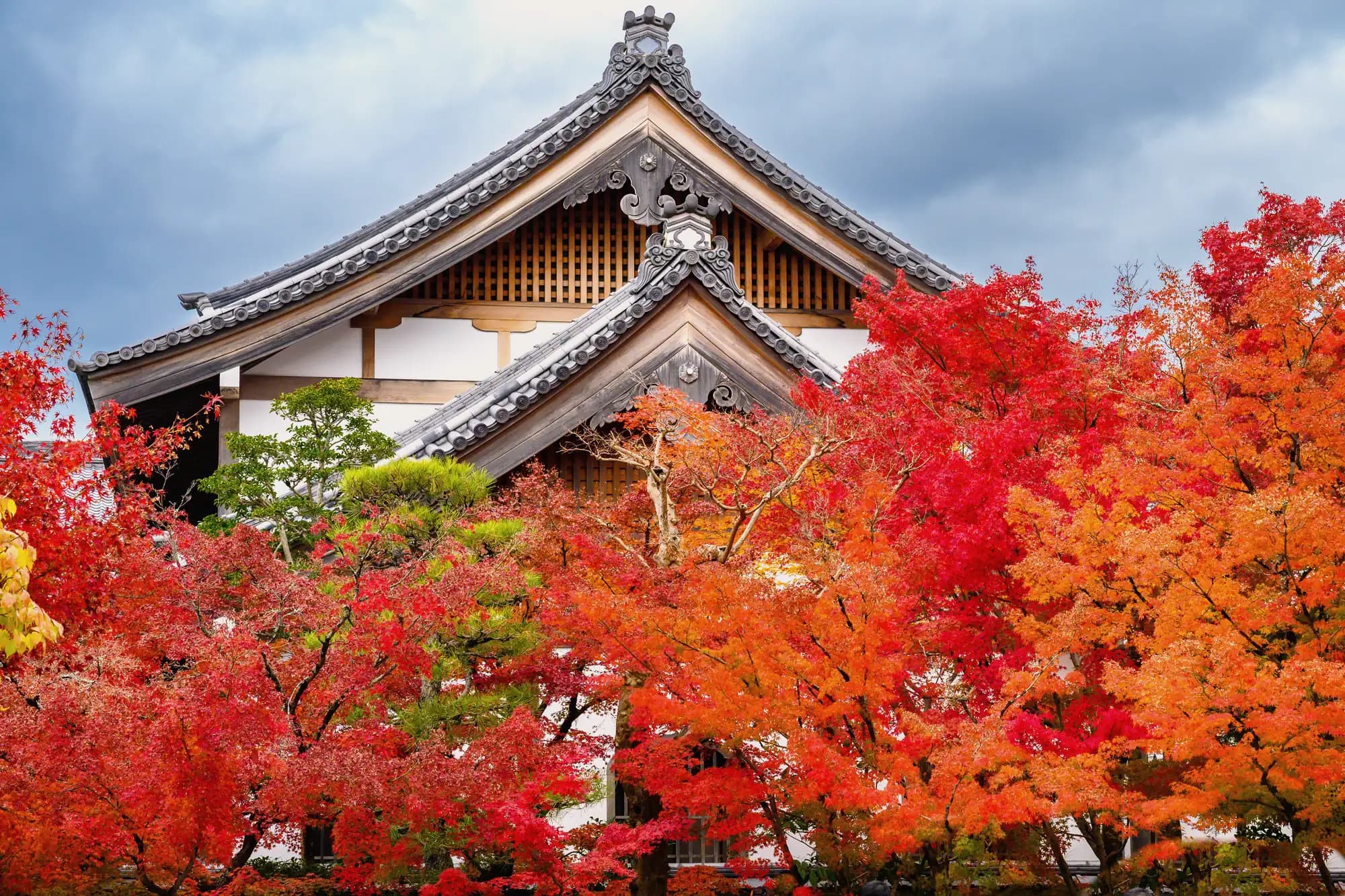 Japan, and the fortnight everyone wants