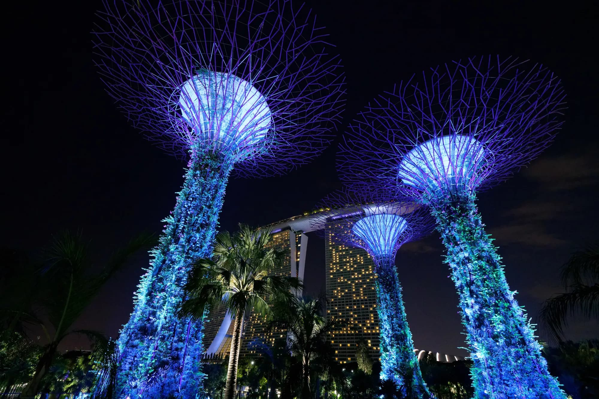 Singapore, and the months that are bearable