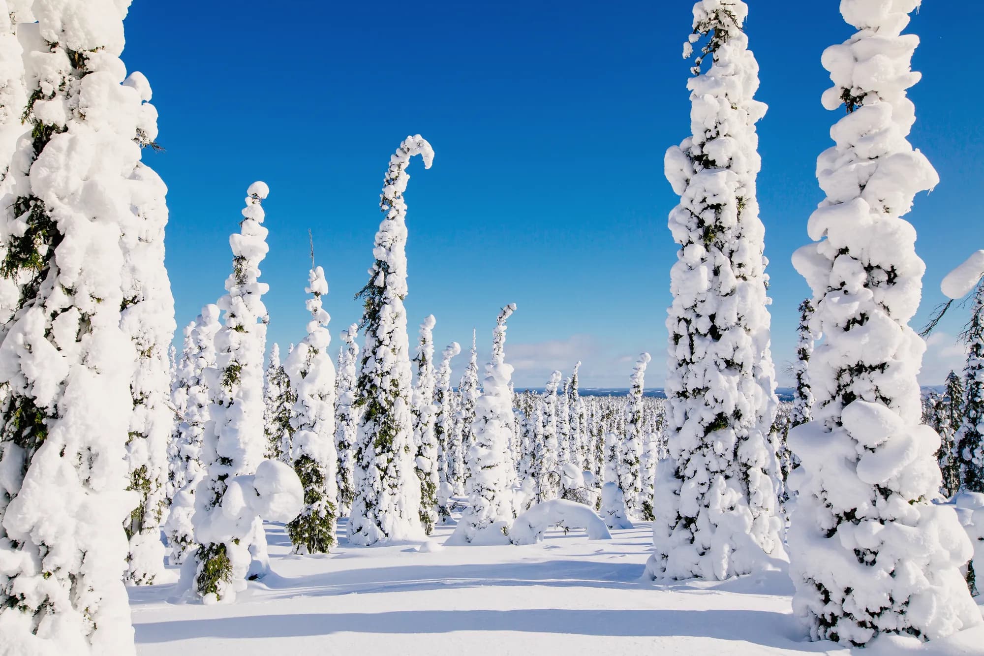 Finland Lapland from Dubai: what the trip actually involves