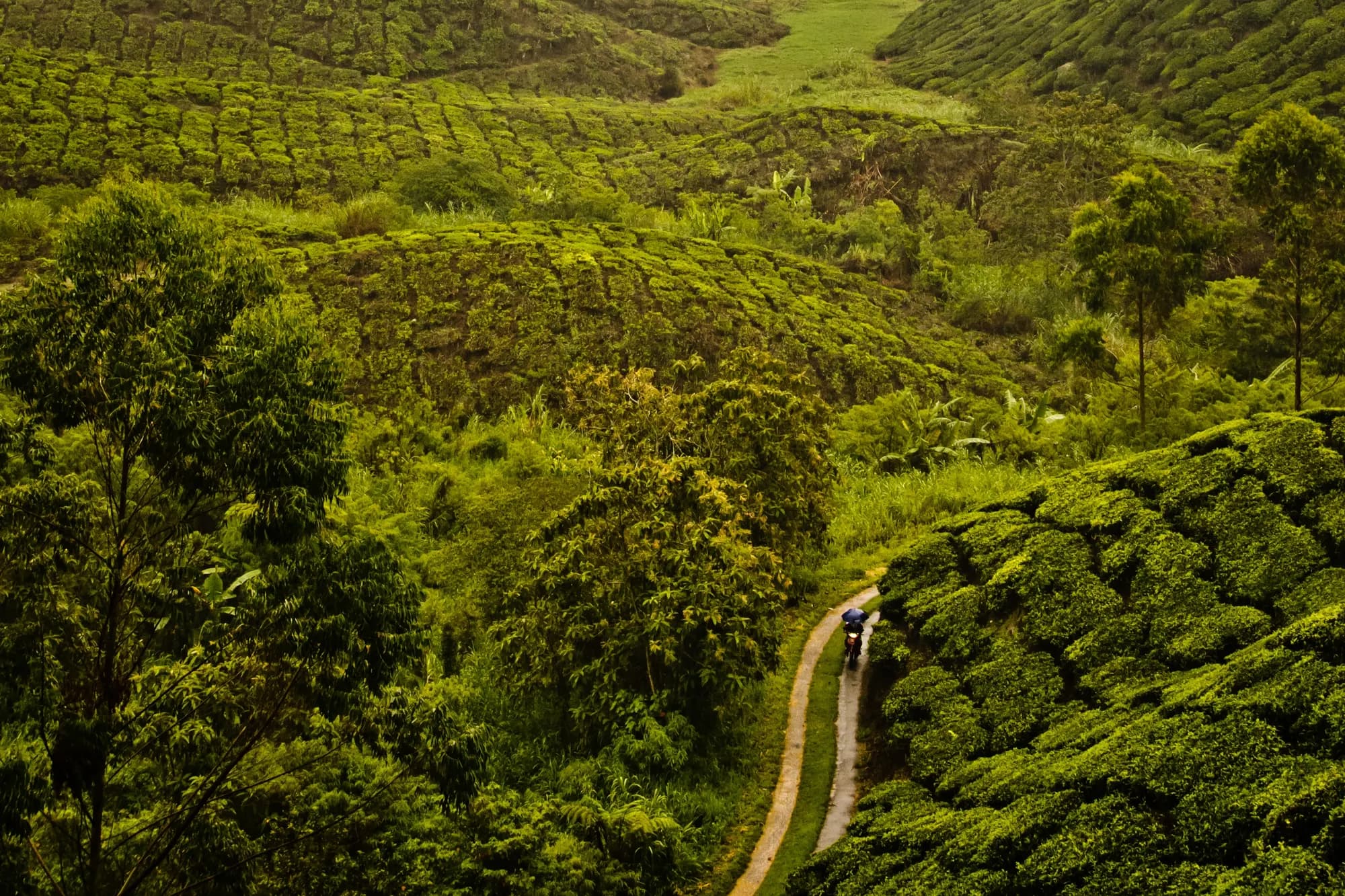 Malaysia, and the two monsoons